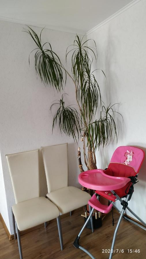 Ferienwohnung Valerie Ettenheim Esterno foto